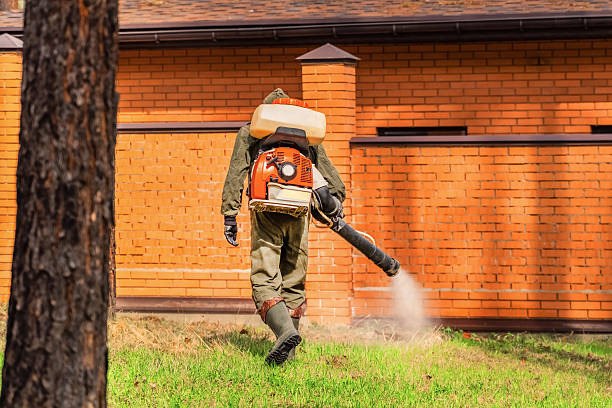 Bed Bug Clearance Verification and Documentation in Stony Point